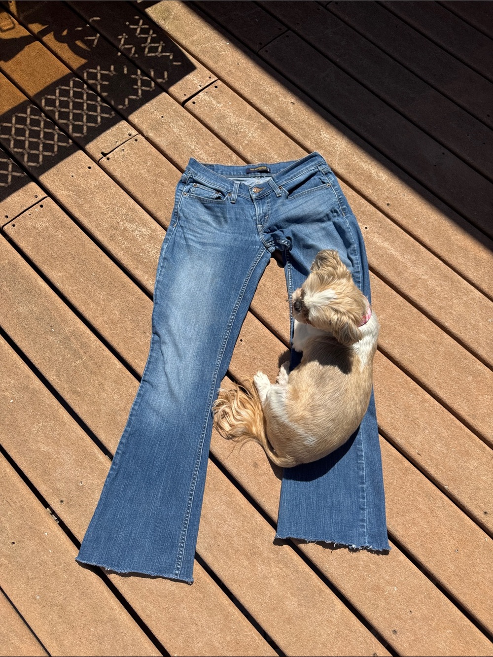 Vintage Levi's 524 Too Superlow Bootcut Jeans - Y2K Iconic Low Rise Size 7